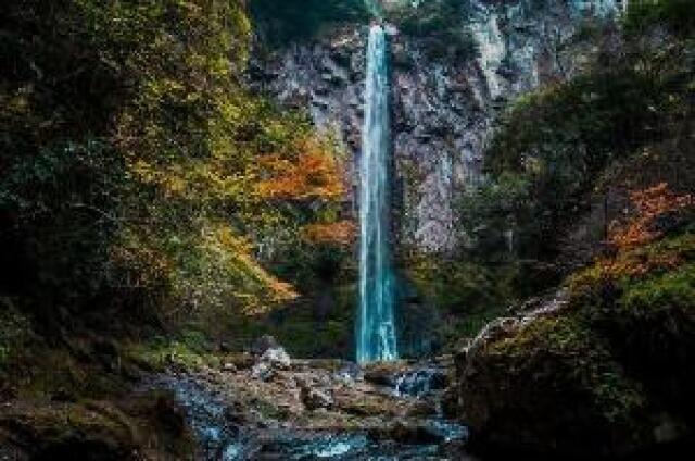 【紅葉・見ごろ】東椎屋の滝