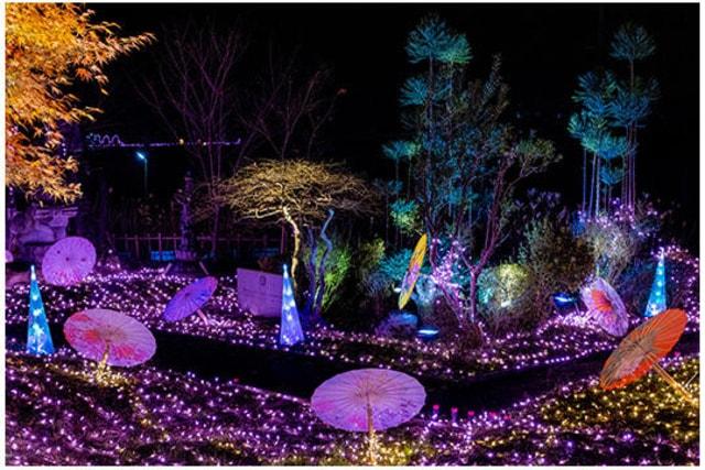 京都丹波KAMEOKA夢ナリエ