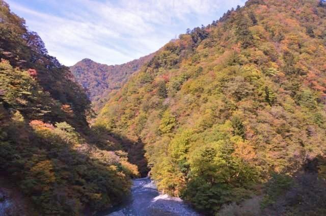 【紅葉・見ごろ】丹沢大山国定公園・県立丹沢大山自然公園