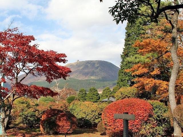 【紅葉・見ごろ】県立恩賜箱根公園
