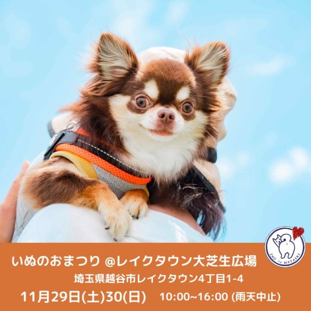 いぬのおまつり