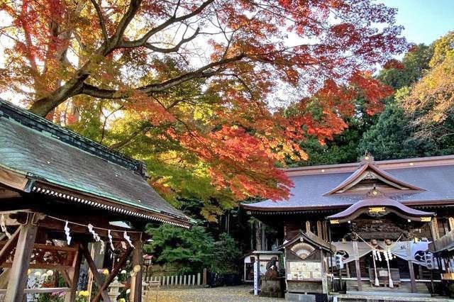 【紅葉・見ごろ】温泉神社