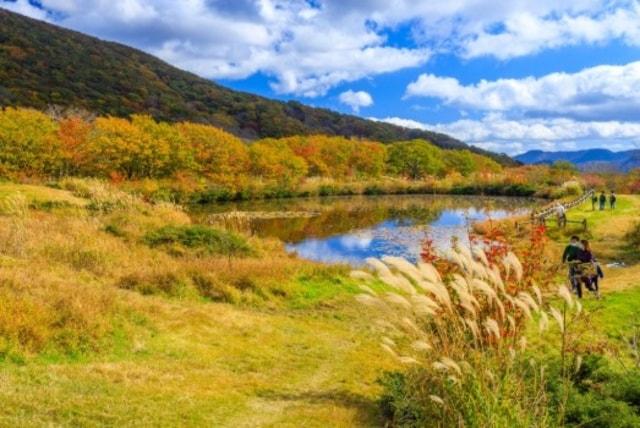 【紅葉・見ごろ】吾妻山