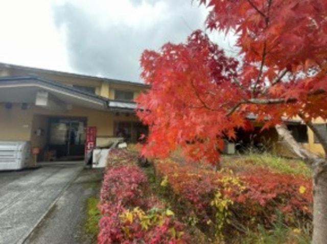 【紅葉・見ごろ】道後山系