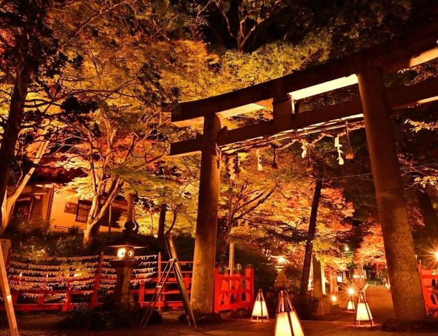 出雲大神宮　境内紅葉ライトアップ