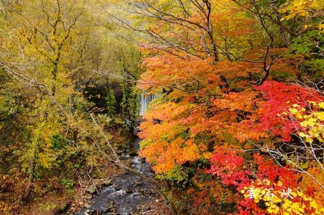 【紅葉・見ごろ】八雲町雲石峠