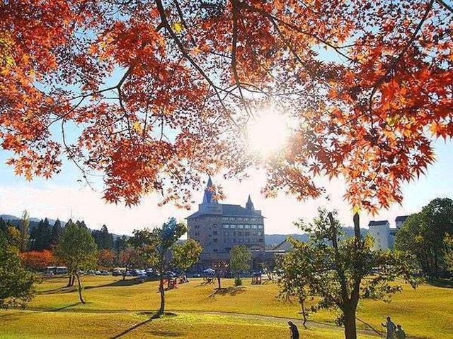 【紅葉・見ごろ】胎内リゾート