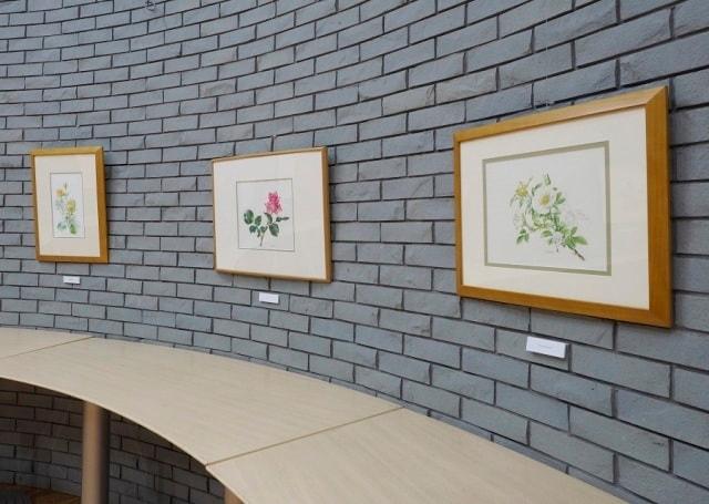 いわたさいこボタニカルアート展