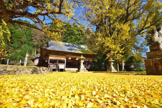 【紅葉・見ごろ】福田神社