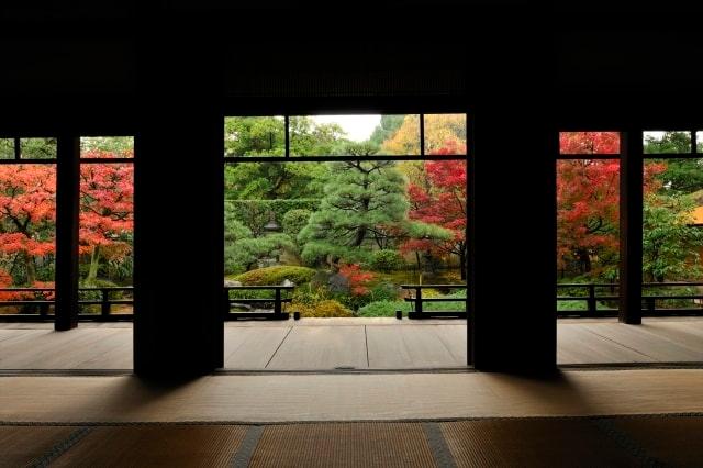 正伝永源院 秋の庭園特別公開