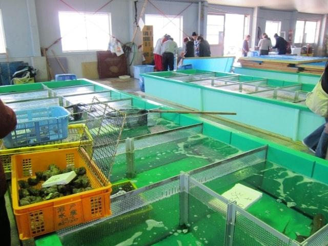 加太の昼市（12月）