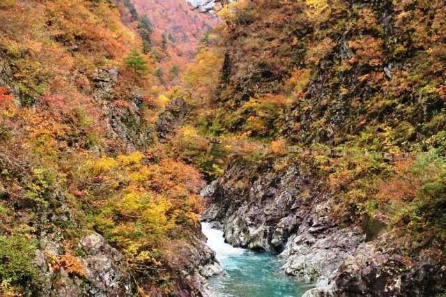 【紅葉・見ごろ】五十沢渓谷