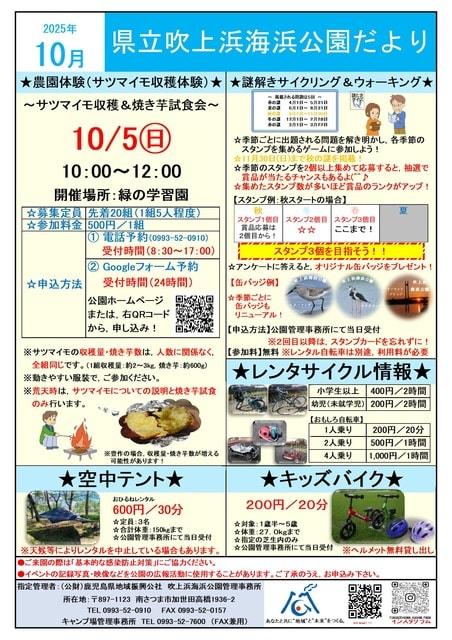 サツマイモ収穫体験