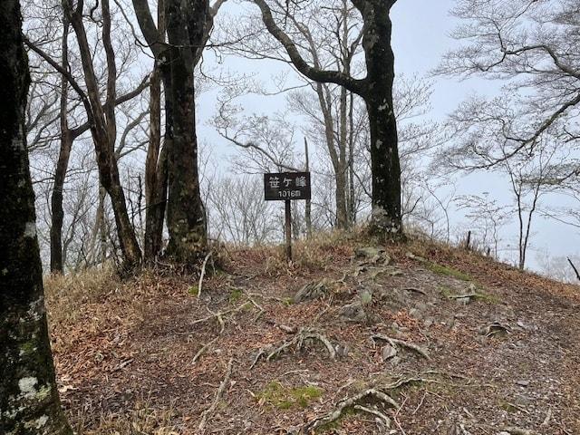 新宮・笹ヶ峰　土佐北街道ハイキング