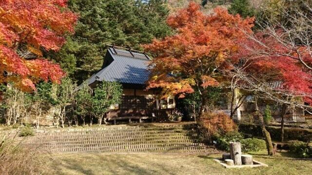 【紅葉・見ごろ】羅漢の里