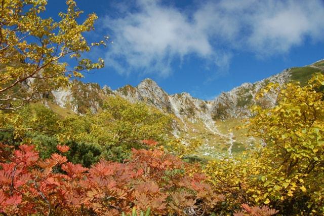 【紅葉・見ごろ】千畳敷カール
