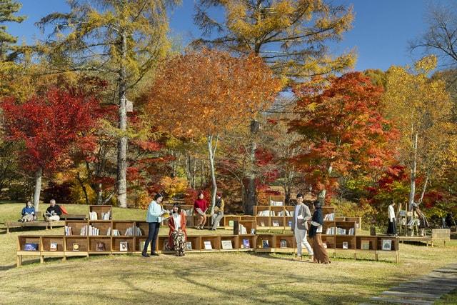 軽井沢 紅葉図書館