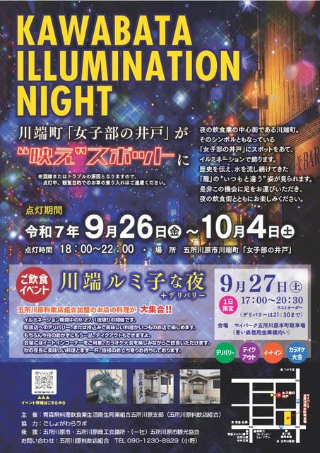 KAWABATA ILLUMINATION NIGHT