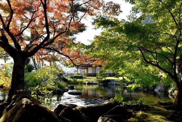【紅葉・見ごろ】仙巌園