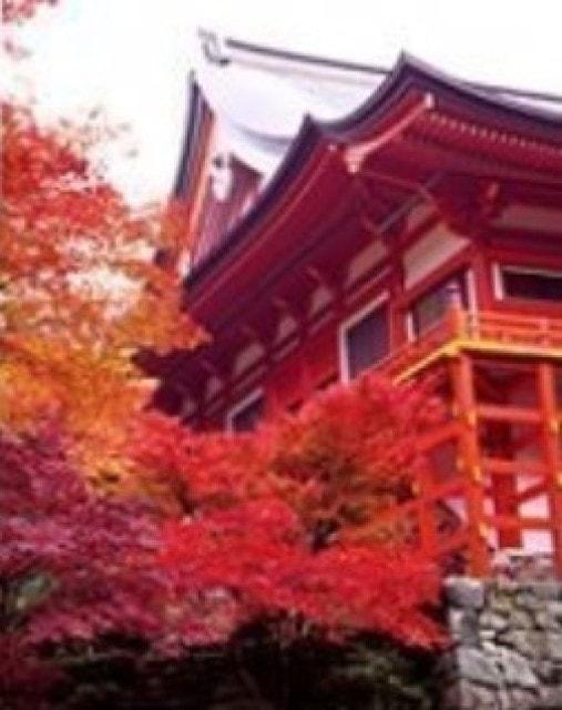 比叡のもみじまつり