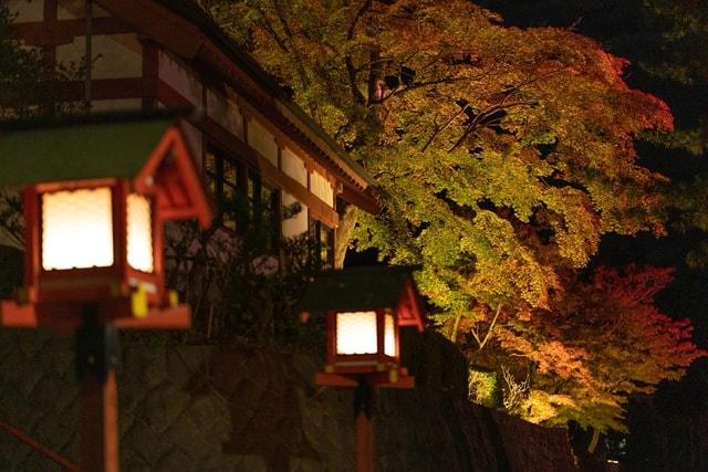 遠野郷八幡宮 紅葉ライトアップ