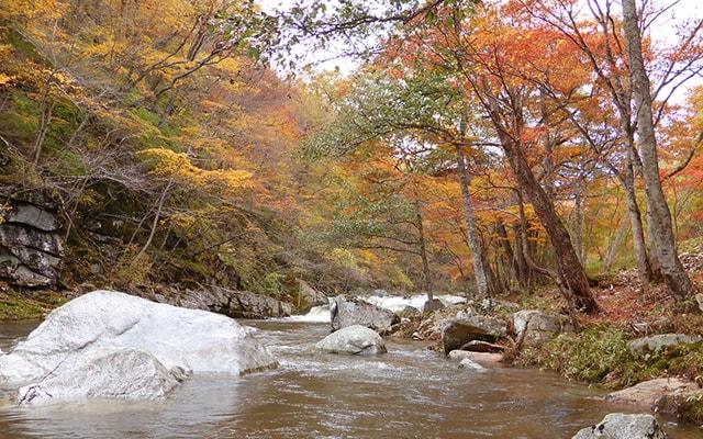 【紅葉・見ごろ】重湍渓
