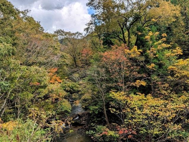 【紅葉・見ごろ】赤和瀬渓谷