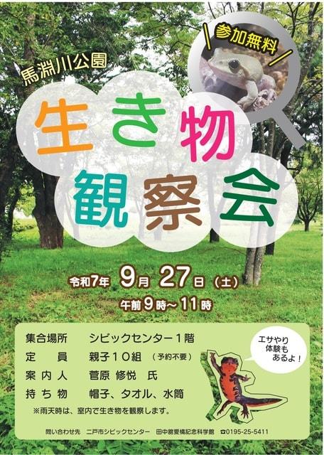 馬淵川公園　生き物観察会