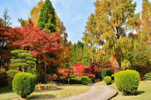 【紅葉・見ごろ】湧永満之記念庭園