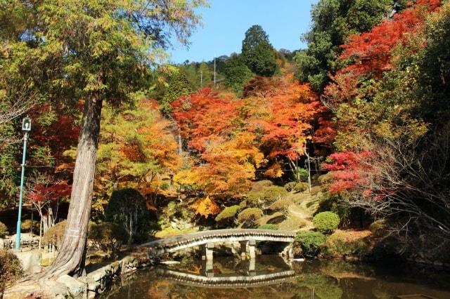 【紅葉・見ごろ】郡山公園（興禅寺跡）