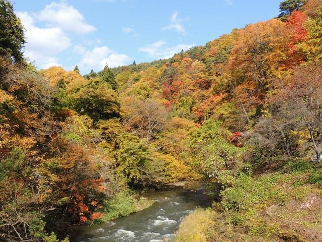 【紅葉・見ごろ】花巻南温泉峡