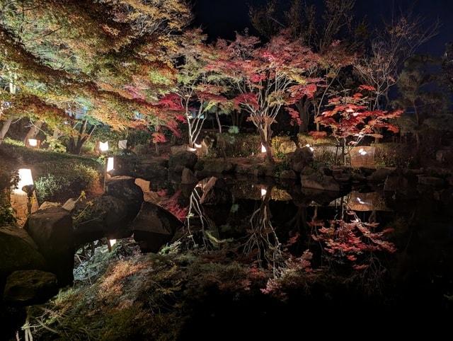 大磯城山公園もみじのライトアップ2025