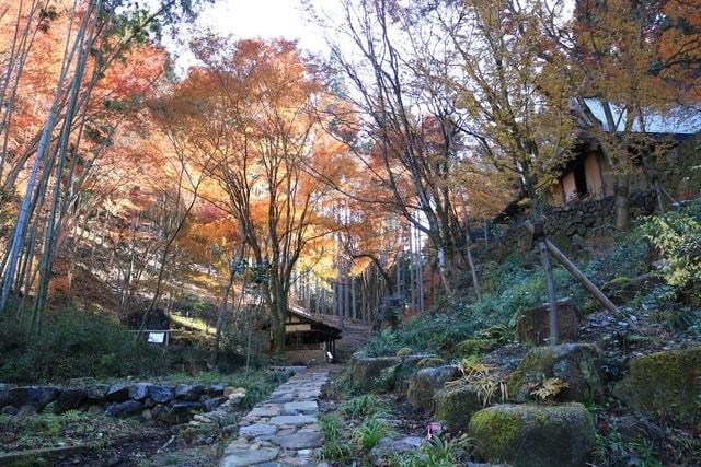 【紅葉・見ごろ】荒川豊蔵資料館
