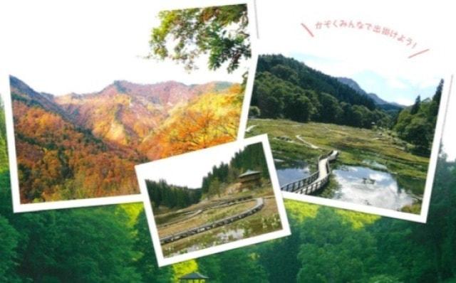 【紅葉・見ごろ】たきがしら湿原
