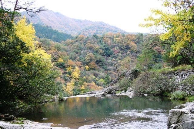 【紅葉・見ごろ】千丈渓