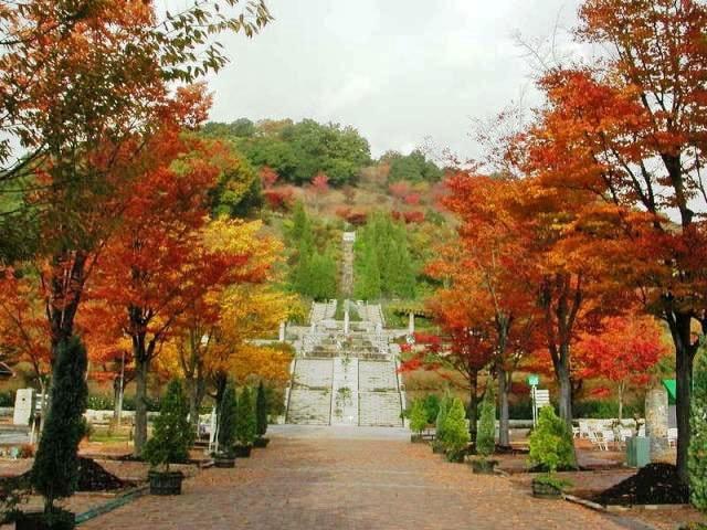 【紅葉・見ごろ】ぎふワールド・ローズガーデン