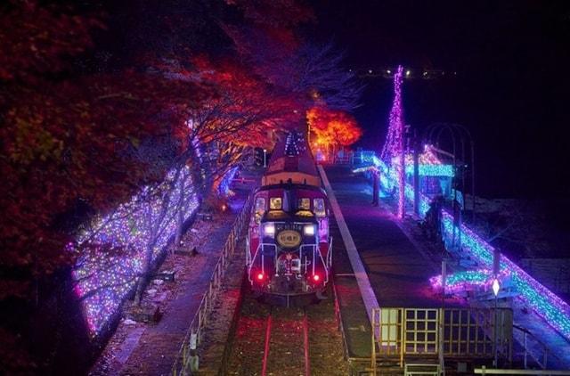 保津峡　秋のライトアップ「光の幻想列車」