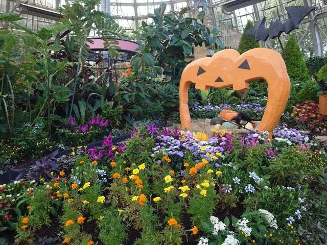 花の展示温室 ハロウィンガーデン
