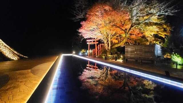 碧テラス煌めく紅葉ライトアップ＆駿河湾サンセット鑑賞