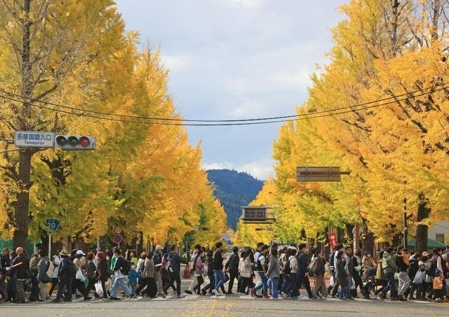 第46回八王子いちょう祭り
