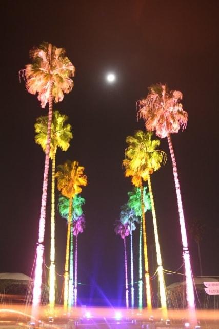 海辺のイルミネーション