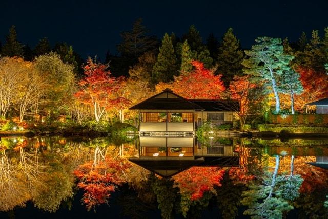 国営昭和記念公園　秋の夜散歩2025