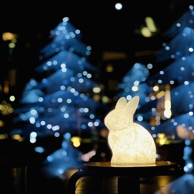 夜の紙博－光る森と冬馬の訪れ－