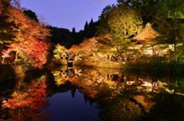 きよかわ「彩」宝生寺の秋