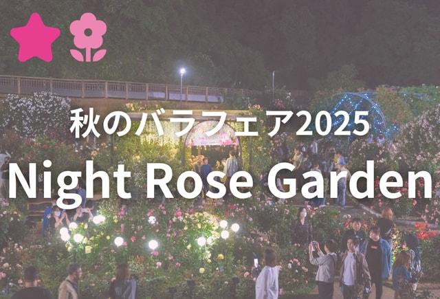 Night Rose Garden