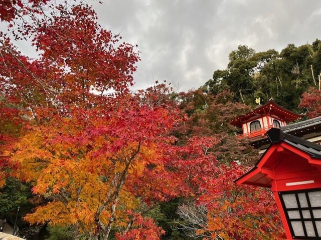 明治の森箕面国定公園もみじまつり2025