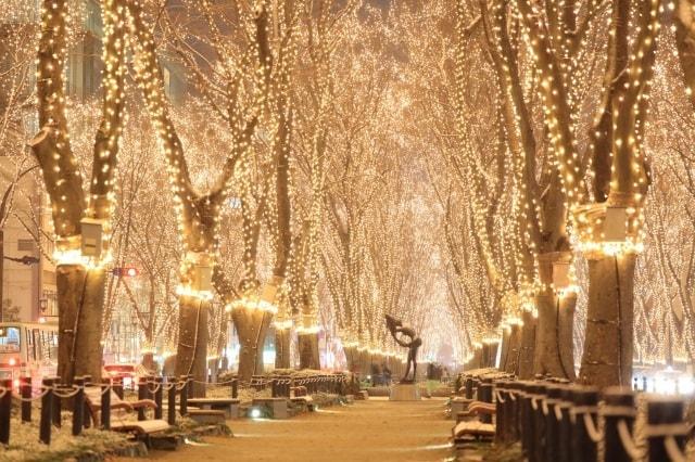 2025 SENDAI光のページェント