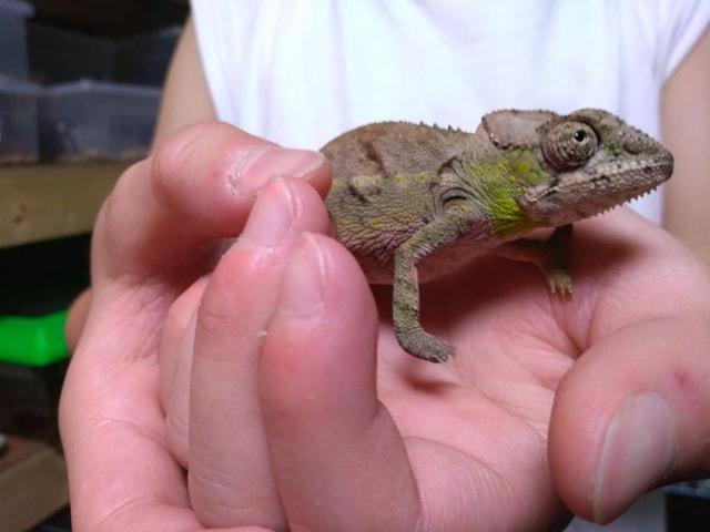 ジャングルハンターin愛媛