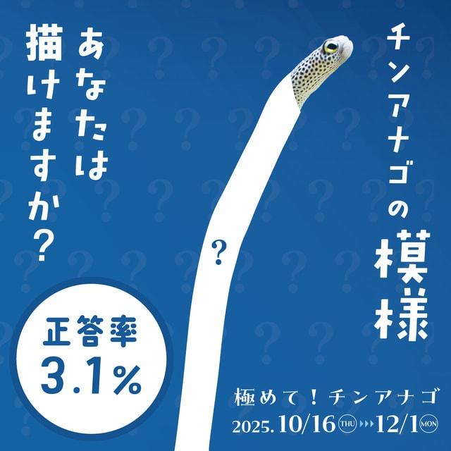 「極めて!チンアナゴ」特別展示