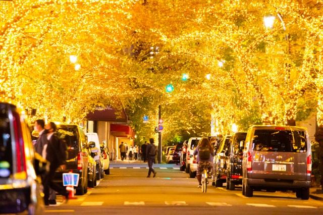 TOKYO ILLUMILIA  2025ー2026